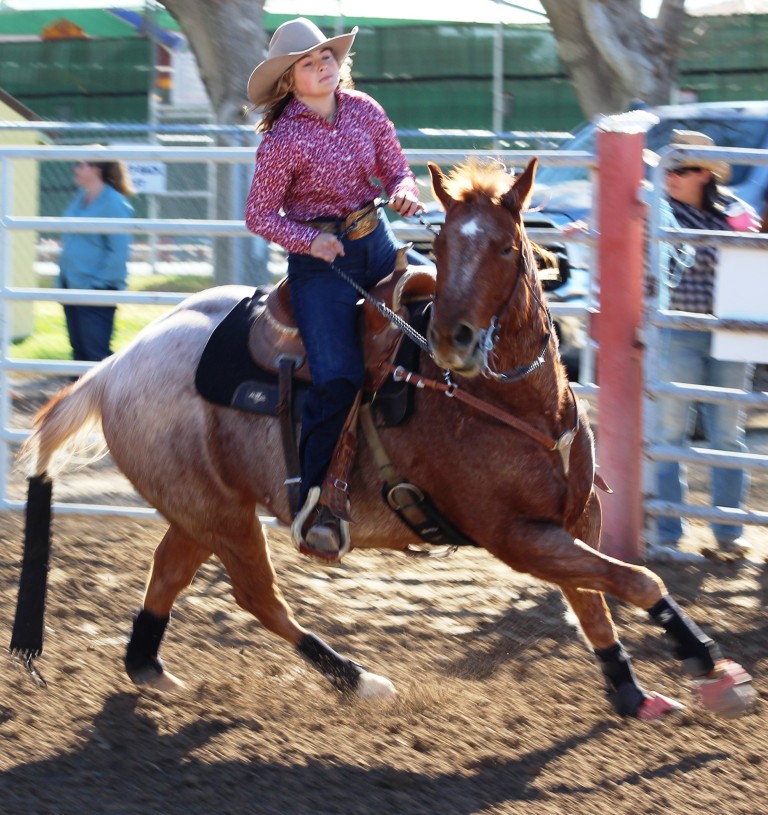 Pole-bending as seen in high school rodeos:  Spanish Springs; Washoe; Wells; White Pine & NSHSRA.
