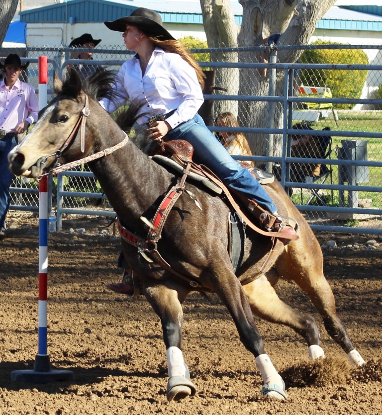 Pole-bending as seen in high school rodeos: Humboldt; Las Vegas; Moapa Valley; Mccullough; Pahrump; and Petrack.