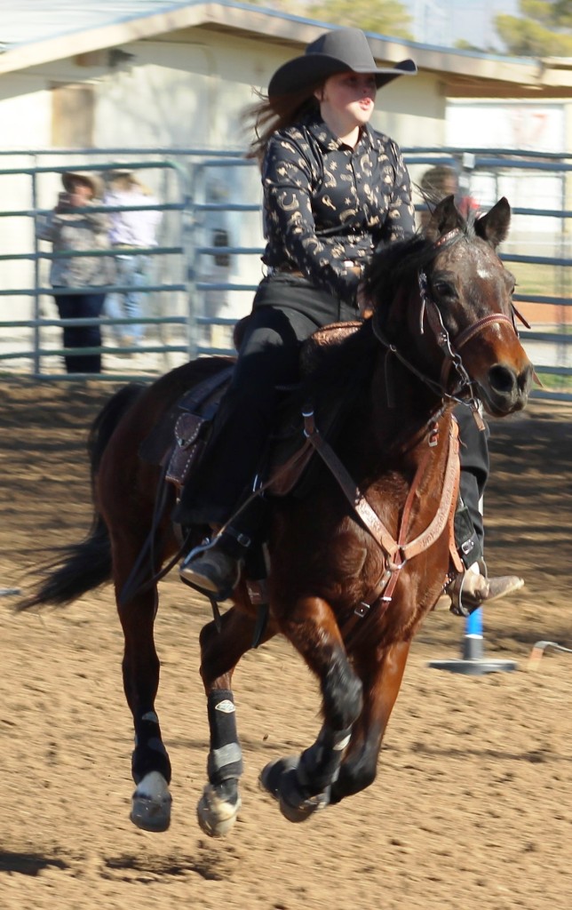 Pole-bending event, contestant in  full gallop in time trials at McCullough Arena, Pahrump Nevada, as seen in rodeos: Alamo; Alamo HS; Battle Mountain; Battle Mountain HS; Boulder City; Boulder City HS; Pahrump; Pahrump Valley; Pahrump Valley HS; Elko; Elko HS; Eureka; Eureka HS; Fallon; Fallon HS; Fernley; Fernley HS; Humboldt; Humboldt HS; Las Vegas; Moapa Valley; Moapa Valley HS; Spanish Springs; Spanish Springs HS; Washoe; Washoe HS; Wells; Wells HS; White Pine; White Pine HS; NSHSRA; Priefert Pavilion; & South Point; Petrack; & Petrack Park.
