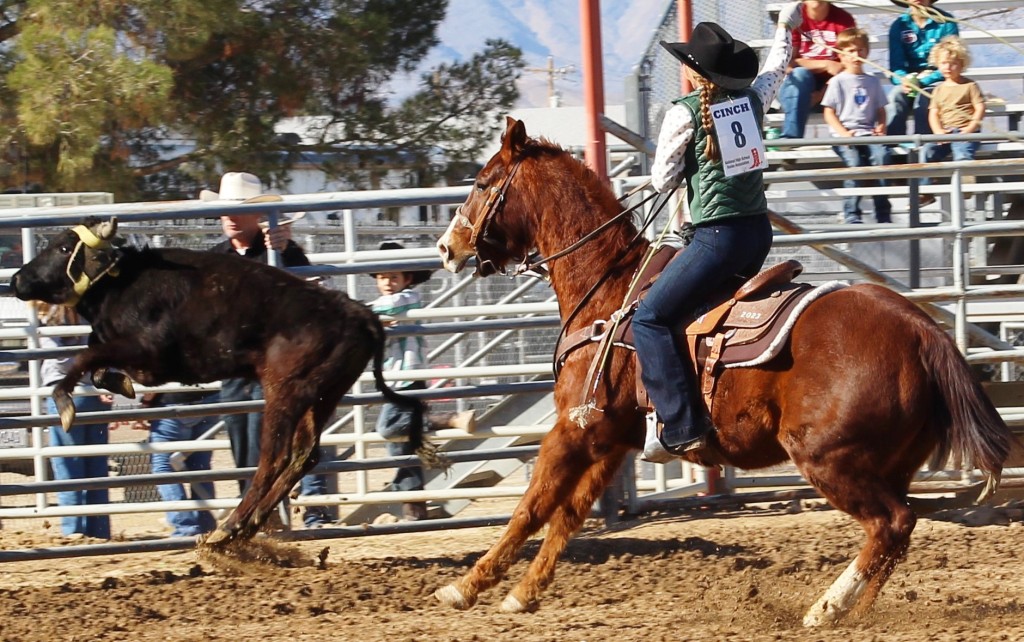 Team roping as seen in high school rodeos: Alamo; Battle Mountain; Boulder City; Elko; Eureka; Fallon; & Fernley.