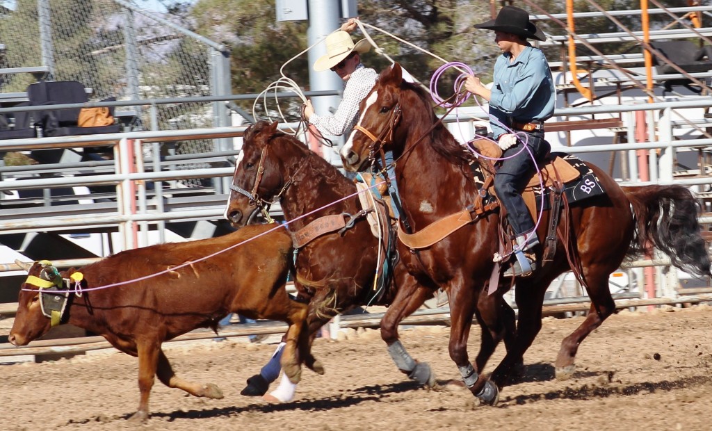 Team roping eas seen in high school rodeos:  Spanish Springs; Washoe; Wells; White Pine & NSHSRA.