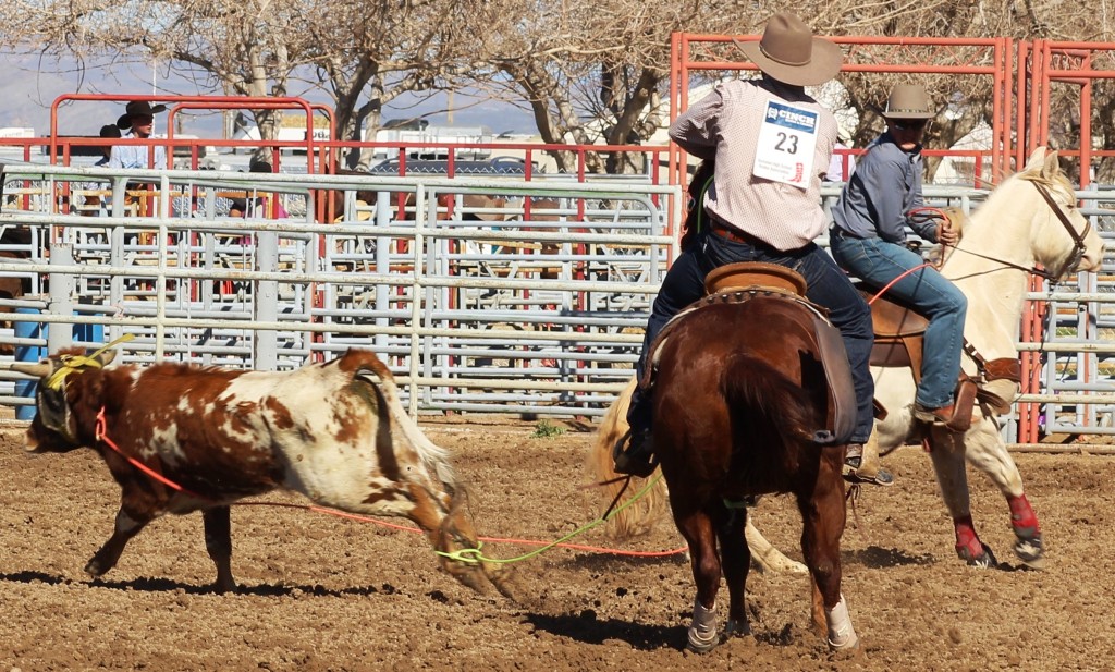 Team roping as seen in high school rodeos: Nevada State HS Rodeo Association; Priefert Pavilion; Petrack; Petrack Park; & Mccullough arena.
