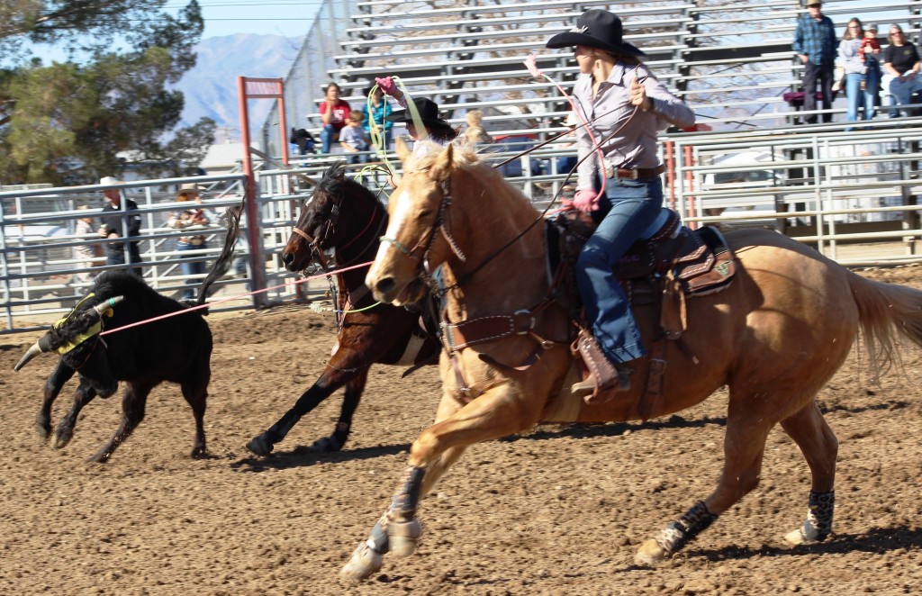 Team roping as seen in high school rodeos: Alamo; Battle Mountain; Boulder City; Elko; Eureka; Fallon; & Fernley.