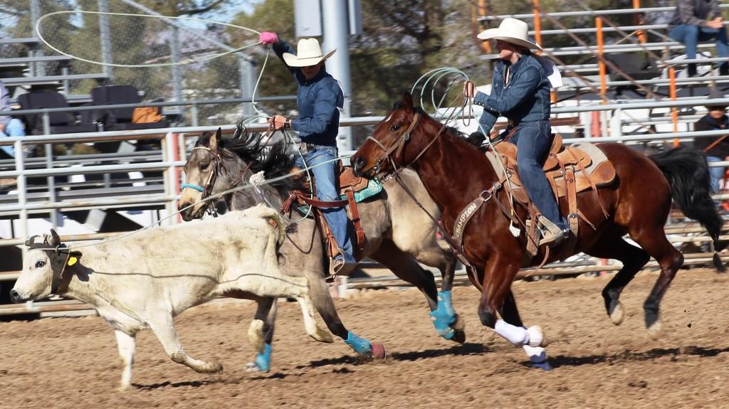 Team roping as seen in high school rodeos: Alamo; Battle Mountain; Boulder City; Elko; Eureka; Fallon; & Fernley.