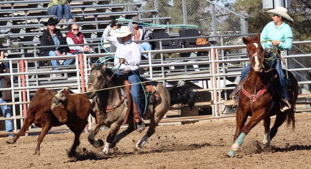Team roping as seen in high school rodeos: Nevada State HS Rodeo Association; Priefert Pavilion; Petrack; Petrack Park; & Mccullough arena.