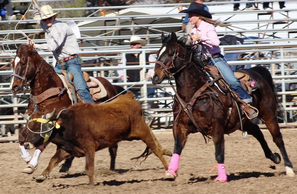Team roping as seen in high school rodeos: Humboldt; Las Vegas; Moapa Valley; Mccullough; Pahrump; and Petrack.