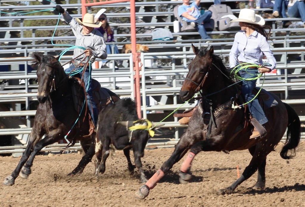 Team roping as seen in high school rodeos: Alamo; Battle Mountain; Boulder City; Elko; Eureka; Fallon; & Fernley.