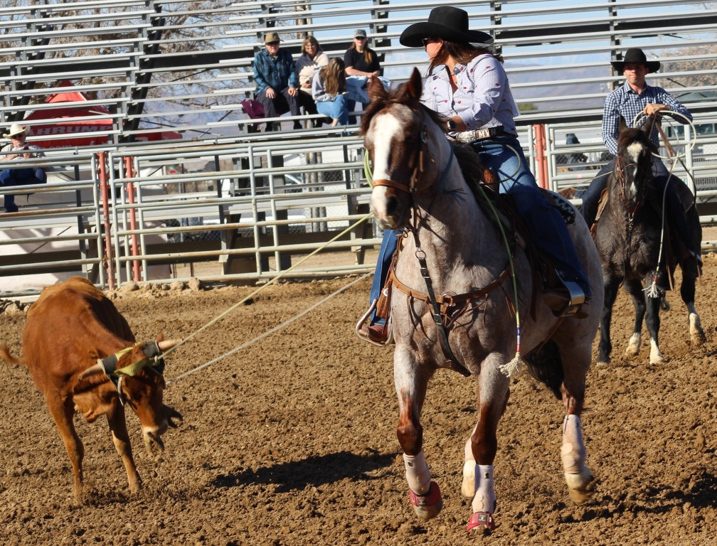 Team roping as seen in high school rodeos:  Spanish Springs; Washoe; Wells; White Pine & NSHSRA.