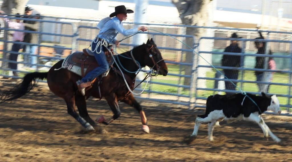Breakaway event, as seen in high school rodeos:  Spanish Springs; Washoe; Wells; White Pine & NSHSRA.
