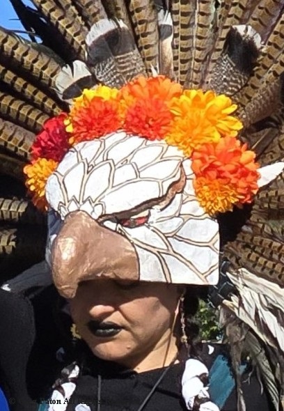 Pahrump Social Powwow Gourde dancer in eagle's head headdress.