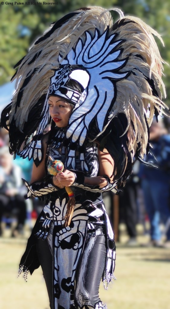 Pahrump Social Powwow Gourd dancer with exotic plumage.